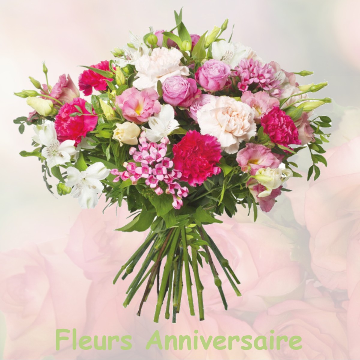 fleurs anniversaire VILLENEUVE-SOUS-PYMONT