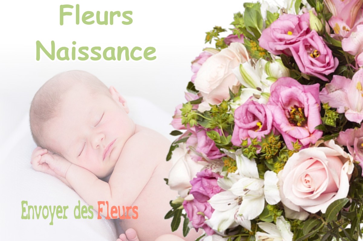 lIVRAISON FLEURS NAISSANCE à VILLENEUVE-SOUS-PYMONT